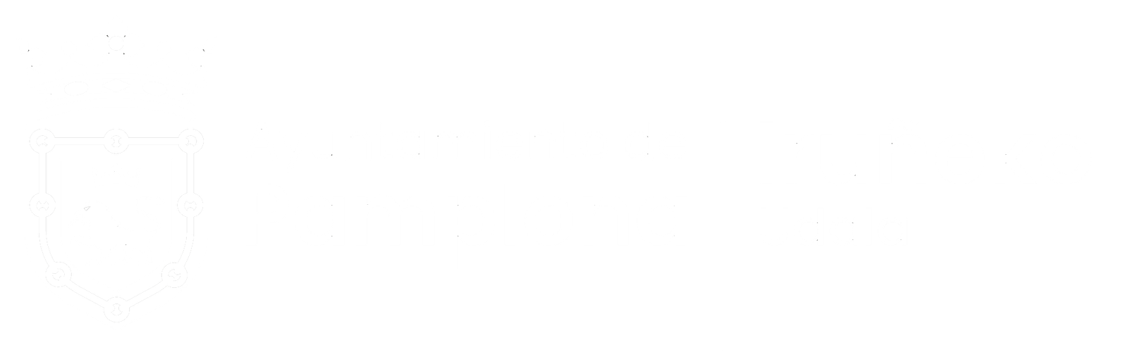 Ayuntamiento Udala Pamplona